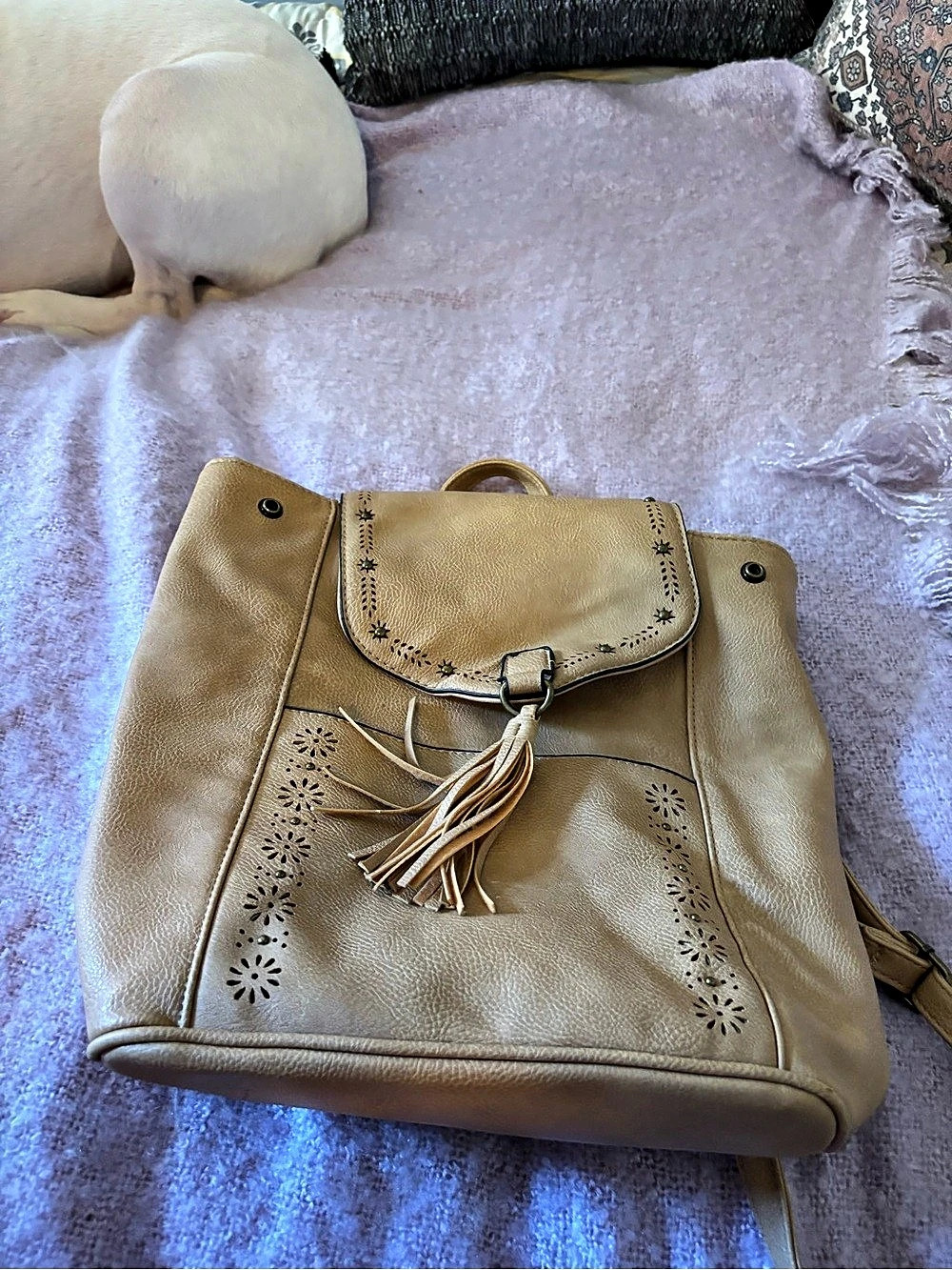 Bag bundle - Picture 6 of 16